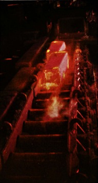 WhatsApp Image 2025 06 03 at 10.46.54 AM