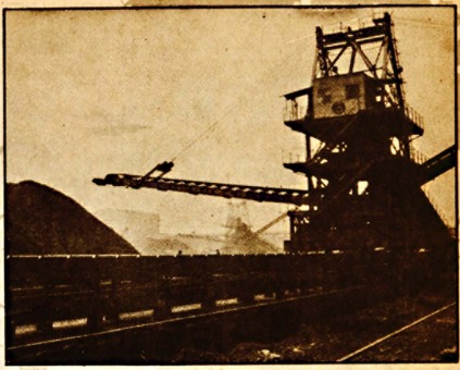 WhatsApp Image 2025 06 03 at 11.11.32 AM