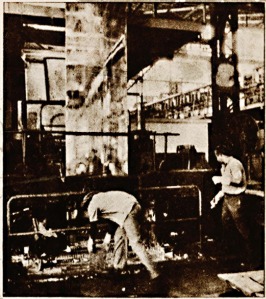 WhatsApp Image 2025 06 03 at 11.48.58 AM