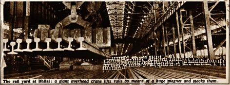 WhatsApp Image 2025 06 03 at 11.59.08 AM